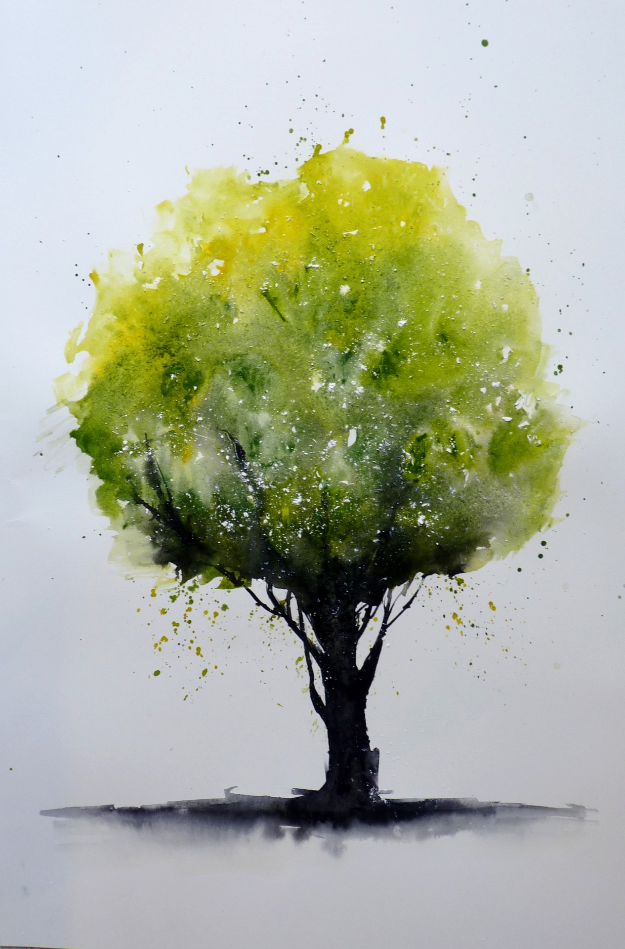 Arbre neige
