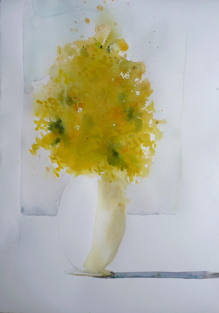 le mimosa encadré