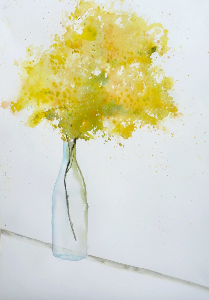 Mimosa en équilibre