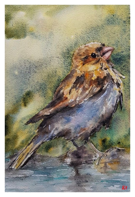 Moineau alone