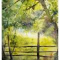 Paysage avec barrière