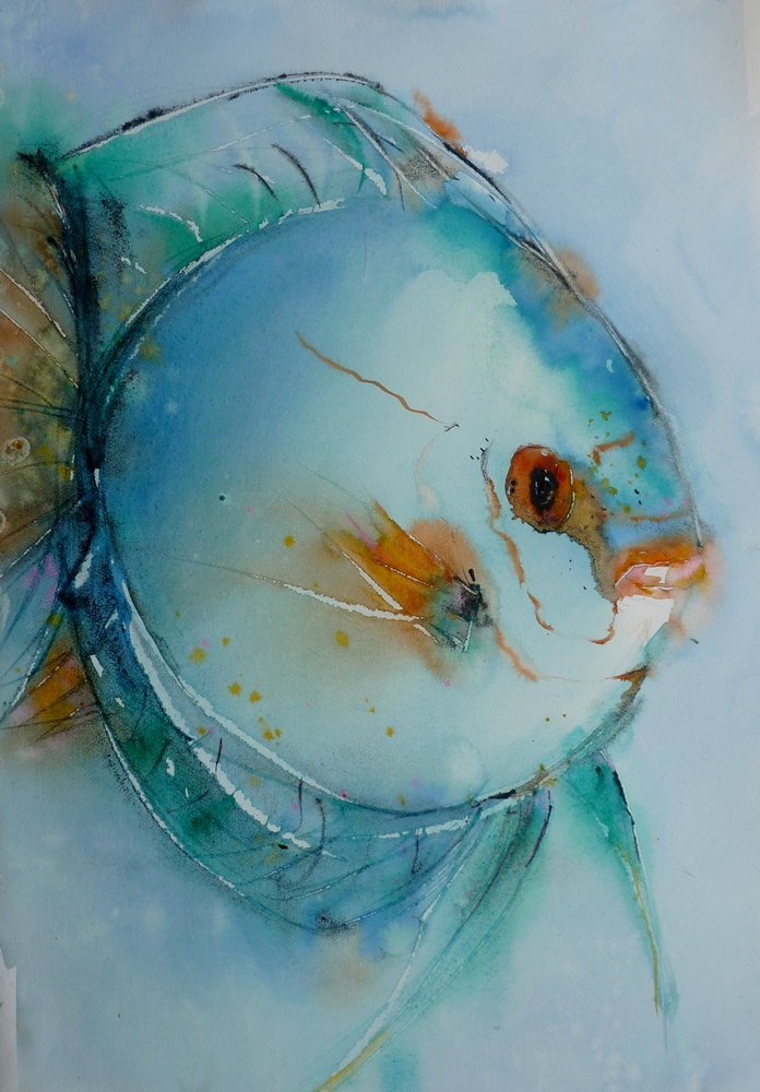 Poisson Lune