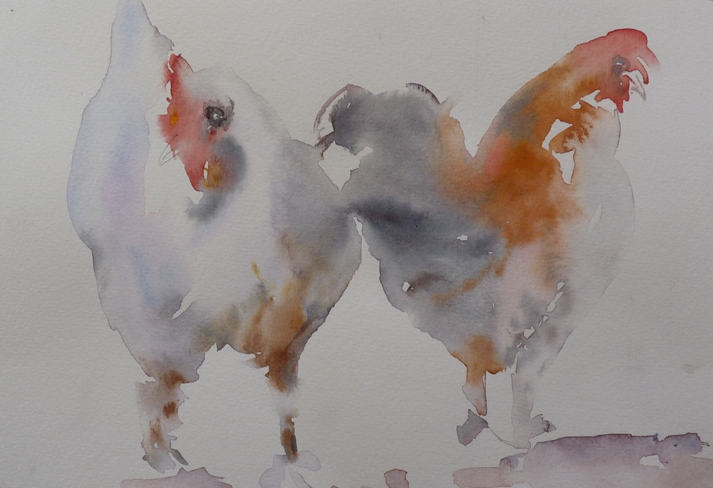 Poules en promenade