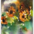 Tournesols sur fond d'orage