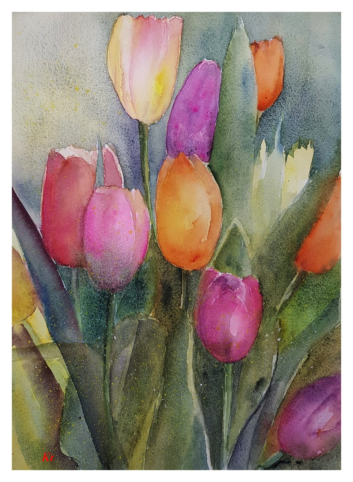 Tulipe12