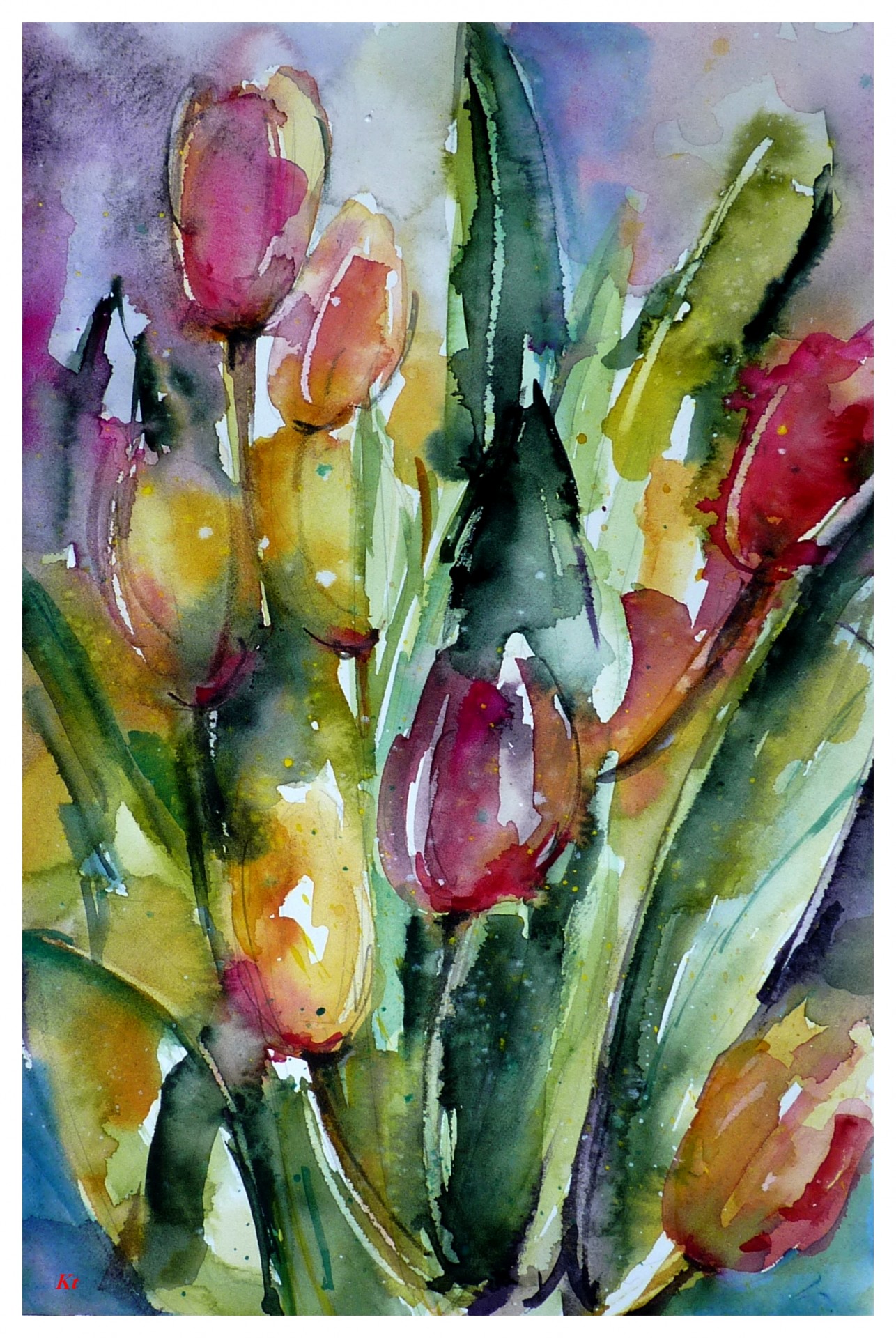 Tulipe 6